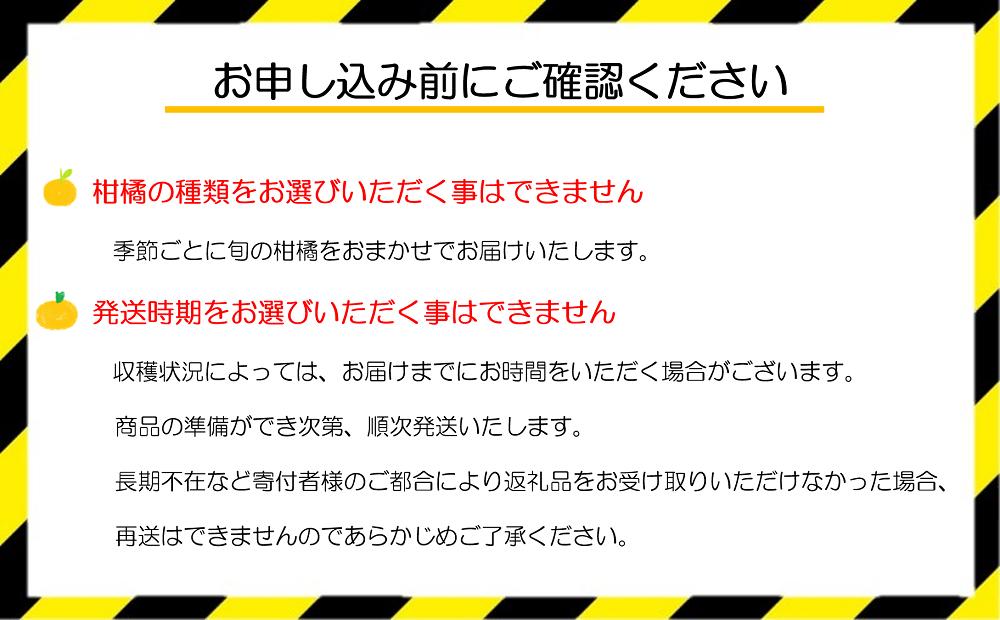 １.自然塾　季節の柑橘詰合せ【1回】