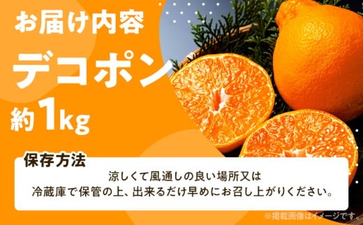 デコポン（不知火）約1kg　※2027年2月上旬頃から順次発送