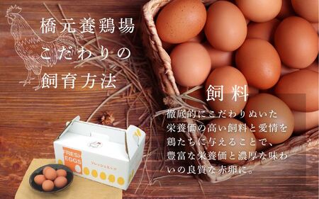 卵 たまご 産みたて新鮮卵 30個入り ※二黄卵3個以上入り！ | 卵 たまご 玉子 鶏卵 新鮮 濃厚 生卵 赤玉たまご 目玉焼き オムレツ 健康 産地直送 人気 二黄卵 卵 ※沖縄・離島への配送不可