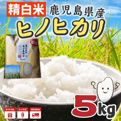 ふるさと納税 南九州市 鹿児島県産ヒノヒカリ5kg |  | 01
