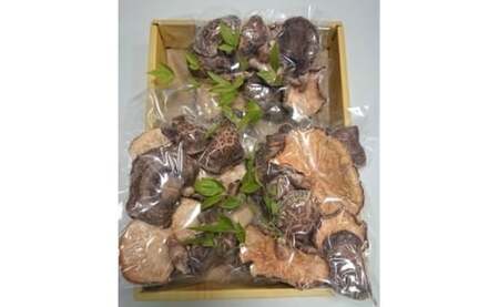 原木乾しいたけ 150g （50g×3袋） / きのこ 国産 プレゼント 綾部市 / 一般社団法人F・T・K［BSBU001］