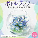 【ふるさと納税】ボトルフラワー ネモフィラ カスミ草 奥行120×高さ100 ドライフラワー ガラス容器 インテリア 雑貨 観賞用 花 フラワー アレンジメント ギフト 贈り物 プレゼント 福岡県 久留米市 お取り寄せ 送料無料