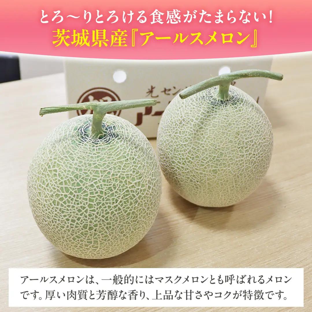 【 先行予約 】茨城県産 アールスメロン 秀品 3L サイズ × 2玉 入り 【 2026年8月下旬から発送 】