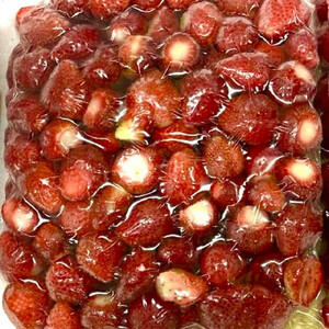 訳あり 冷凍 オーガニックいちご1kg 有機いちご 苺 さちのか
