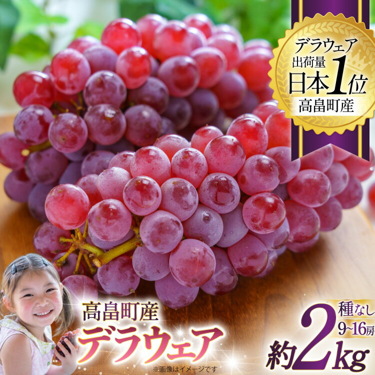 【ふるさと納税】 【期間限定発送】 ぶどう デラウェア 約9〜16房 約2kg [齋藤ファーム 山形県 高畠町 tk06bnv890000] 種無し ブドウ 葡萄 くだもの 果物 フルーツ 産地直送 農家直送 果実 デザート 甘い