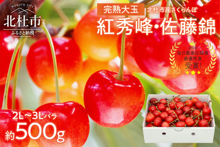 さくらんぼ 2L～3L 【先行予約】 約500g 毎日農業記録賞 全国最優秀賞 受賞 完熟大玉バラ 紅秀峰 佐藤錦 やまなしGAP認証 フルーツ グランプリ ※2025年6月中旬以降順次発送 岩原果樹