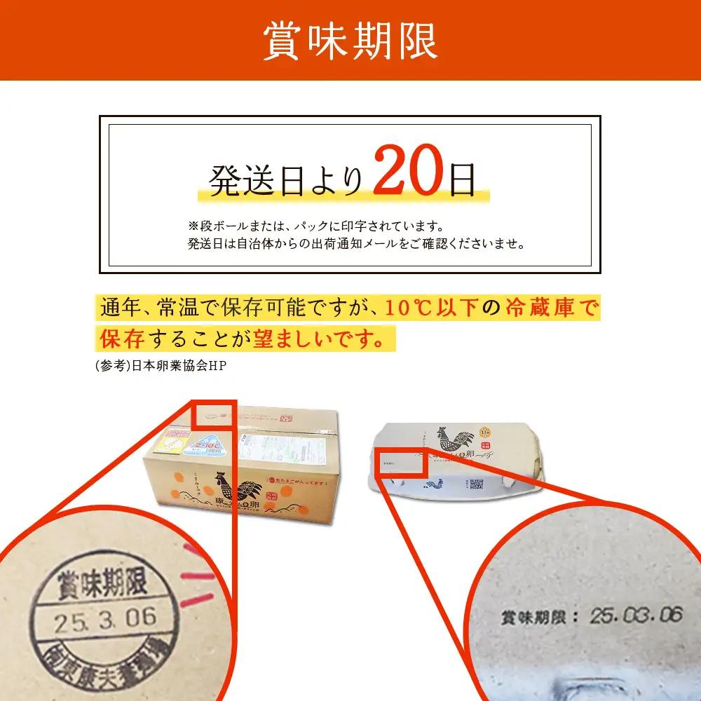卵【6回定期便】霧島山麓育ち こだわり卵 康卵 計 30個（27個 + 割れ保証 3個）6回 計 180個（162個 + 割れ保証 18個）たまご 玉子 卵焼き 玉子焼き たまご焼き 生卵 鶏卵 たま