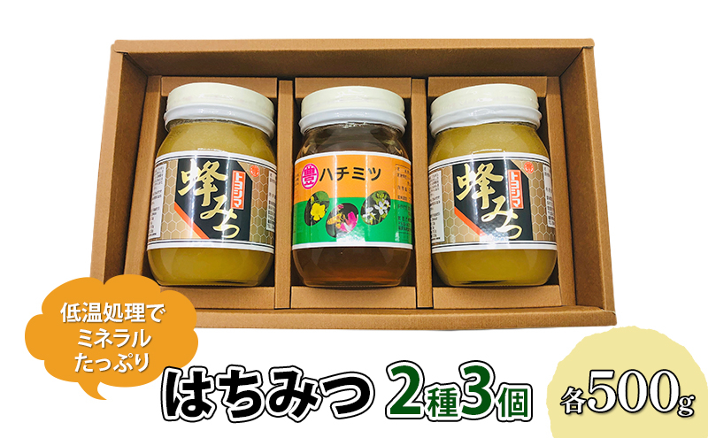 
はちみつ セット 2種 レンゲブレンド 500g×2個 野山のハチミツ 500g×1個 詰め合わせ 食べ比べ 蜂蜜 ハチミツ
