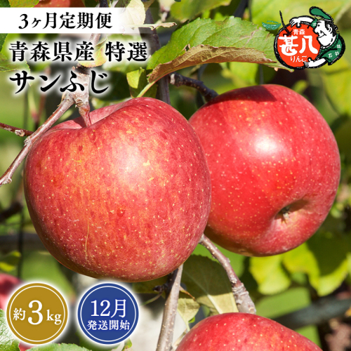 【2026年12月発送開始】青森県産 サンふじ りんご 特選 約3kg 3ヶ月定期便 青森りんご 林檎 フルーツ 平川市【hi-0058-175】