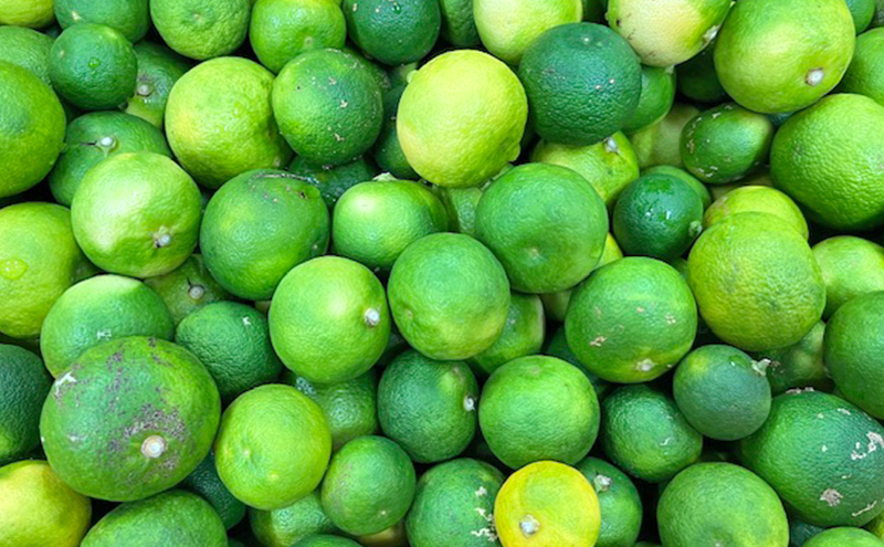 本家たかはし 三杯酢 900ml 1本 兵庫県 洲本市 淡路島