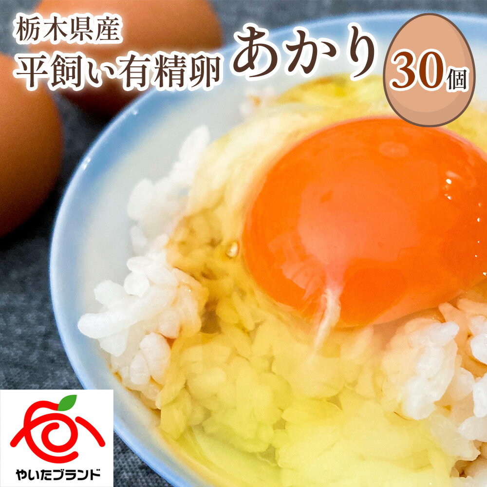 【ふるさと納税】[平飼い有精卵30個] 濃厚な黄身が特徴 ワタナベファームのおてんば長女 定期便あり【平飼い有精卵あかり】｜矢板市産 こだわり卵 たまご 玉子 生卵 鶏卵 栃木県 矢板市