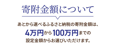 【9998-15】あとからセレクト【ふるさとギフト】寄附60万円相当