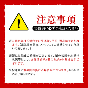 【2026年1月下旬以降発送】活オオズワイガニ3尾【えりも産】【er004-009-e】活 オオズワイガニ 1尾あたり  大ズワイ 大ズワイガニ ズワイガニ ズワイ かに 蟹 魚介 海鮮 新鮮 生 人