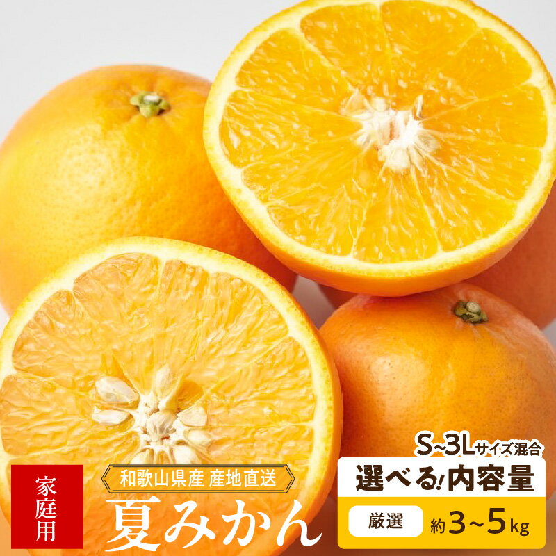【ふるさと納税】【限定】 【2026年先行予約】 和歌山県産 夏みかん 訳あり 家庭用 選べる 内容量 3kg 5kg S ～ 3L サイズ混合 新鮮 みかん 甘酸っぱい ジューシー フルーツ 果物 柑橘 デザート お取り寄せ 和歌山県 湯浅町 送料無料