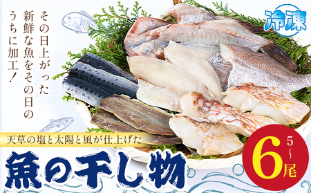 天草 魚 干し物 《30日以内に出荷予定(土日祝除く)》高橋商店