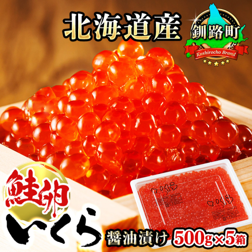 いくら醤油漬け 500g ×5箱  ｜北海道産 国産 いくら いくら醤油漬 イクラ 天然 鮭 サーモン 鮭卵 鮭いくら お徳用 大容量 サイズ お手軽 簡単 冷凍 高級 絶品 釧之助本店 配送時期が選べる 配送 指定 配送日 選べる スピード発送 北海道 釧路町 釧路超 特産品