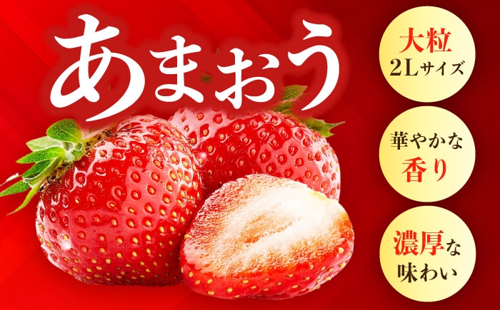  いちご あまおう 福岡県産苺 いちご あまおう イチゴ 苺 ichigo 築上産 ジャム フルーツ 果物 スイーツ