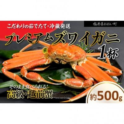 ふるさと納税 おおい町 【2026年11月より順次発送】越前ガニ 約500g 濃厚な味噌と身が詰まったズワイガニをお届け