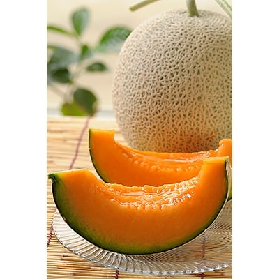 【2026年7月中旬以降発送】北海道　くんねっぷメロン5玉 【配送不可地域：離島・沖縄県】