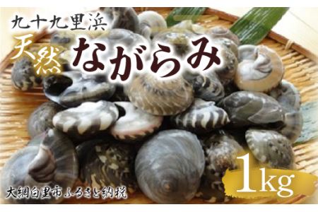 九十九里浜　天然ながらみ　1kg【名産】 ふるさと納税 ながらみ 幻の貝 九十九里産 貝 国産 千葉県 大網白里市 送料無料 P005