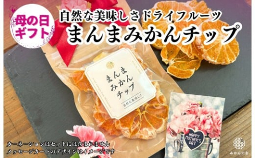 【母の日ギフト】みかん ドライフルーツ まんまみかんチップ 100g ( 20g × 5袋 ) 和歌山県産 果物使用 国内製造 【みかんの会】