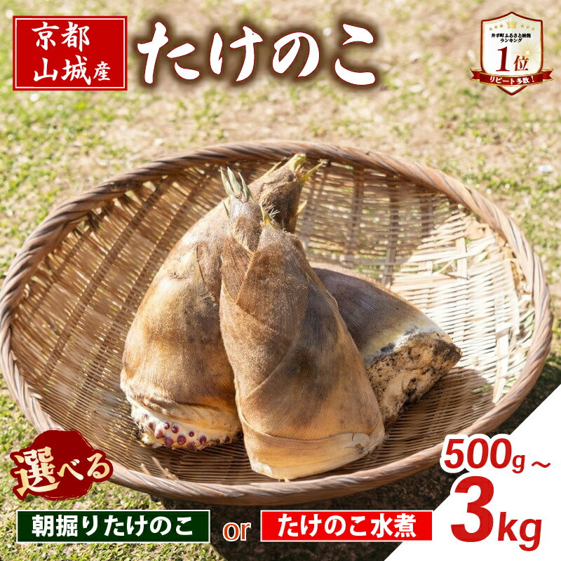 【ふるさと納税】 【京都山城産】 選べる 朝掘りたけのこ / たけのこ水煮 缶詰 筍 竹の子 白子筍 京都 山城 産 京たけのこ 国産 京野菜 野菜 国産 炊き込みご飯 煮物 小分け まとめ買い 常温保存 井手町