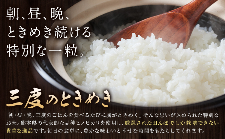 令和7年産 米 三度のときめき 15kg くまもと食彩の力《60日以内に出荷予定(土日祝除く)》熊本県 長洲町 お米 ひのひかり ヒノヒカリ こめ コメ---sn_kmst_60d_r7_40000_