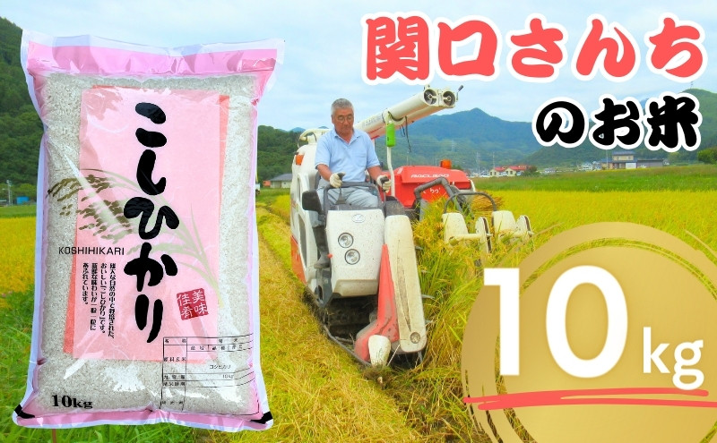 
            米 令和6年 関口さんちのお米 コシヒカリ 10kg お米 こめ コメ 精米 白米 ご飯 こしひかり 長野 信州 [№5312-0145]
          
