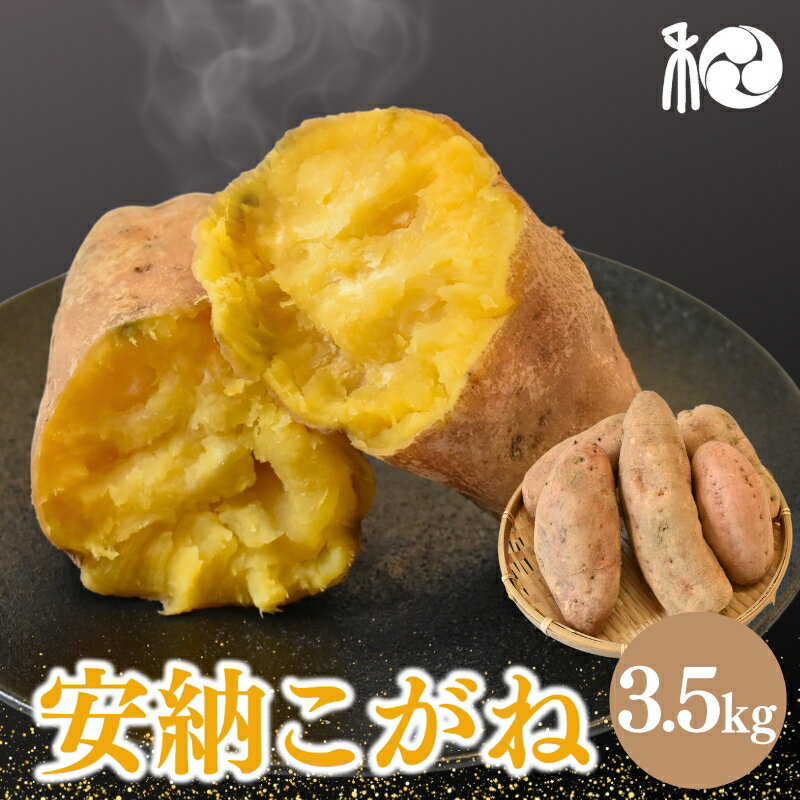 【ふるさと納税】【2025年分予約】『安納こがね』 白皮の安納芋(さつまいも)　3.5kg 【期間限定・先行予約・11月15日まで】※11月下旬～12月上旬頃に順次発送予定 / 安納芋 旬 甘い とろける 希少 田辺市 和歌山