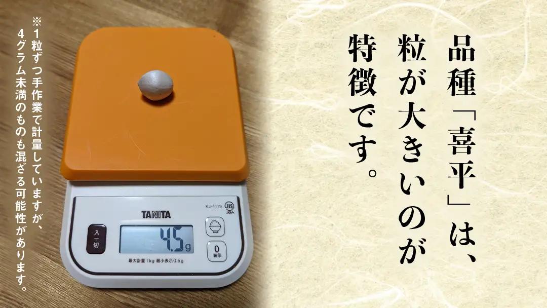 【先行予約】 喜平 ぎんなん 150g (1粒4.0g程度・特大サイズ) 【2026年10月中旬より発送開始】 