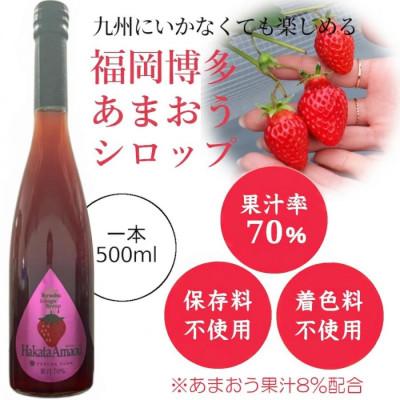 ふるさと納税 水俣市 九州を飲む! 九州果実 シロップ あまおう 500ml 1本 【福田農場】 |  | 01