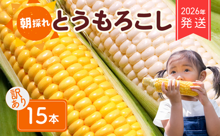 【 2026年 先行予約 】おまかせ 訳あり とうもろこし 15本 【 とうもろこし 】