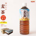 【ふるさと納税】【6回定期便】DyDo ダイドー おいしい麦茶 合計144本 600ml×24本×6回 麦茶 むぎ茶 カフェインゼロ お茶 飲料水 ペットボトル ドリンク 定期便 6ヶ月 送料無料 nm044