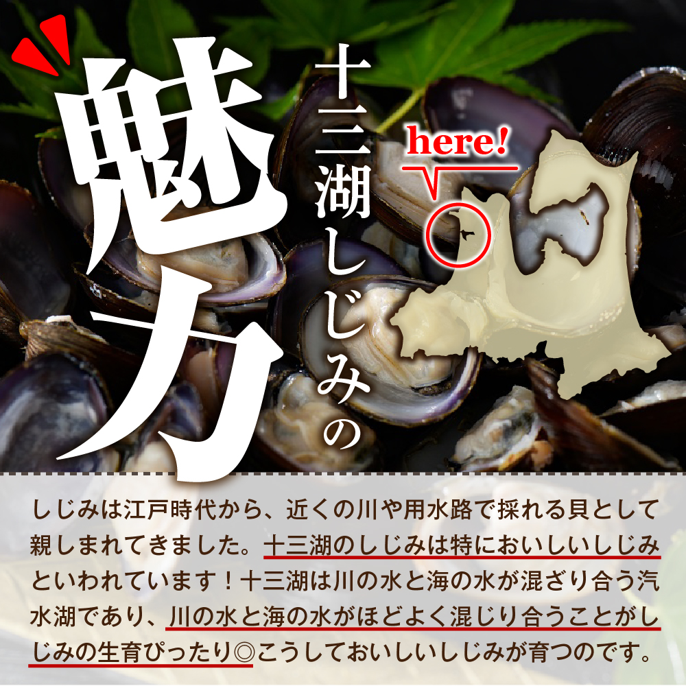 十三湖産しじみ加工品セットC (レトルトしじみ、あどはだり味噌、しじみ佃煮) 青森県 五所川原市