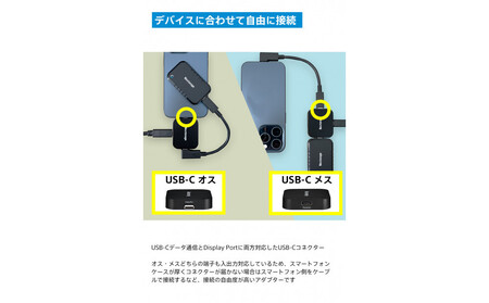 映像出力やデータ転送と同時に給電可能なマルチアダプター NX-PDPA1｜PDPアダプター™