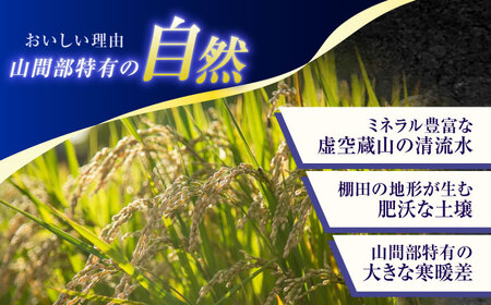 【2回定期便】清流水で育った棚田米 『ひなた米』 10kg (5kg ×2袋) [OCM050]