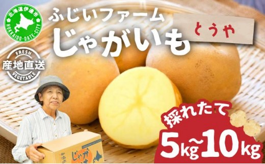 
                  ＜先行予約＞【選べる容量】北海道産 じゃがいも(とうや) 約5～10kg | ジャガイモ 馬鈴薯 ポテト 芋 イモ 国産 野菜 人気 ふじいファーム
                