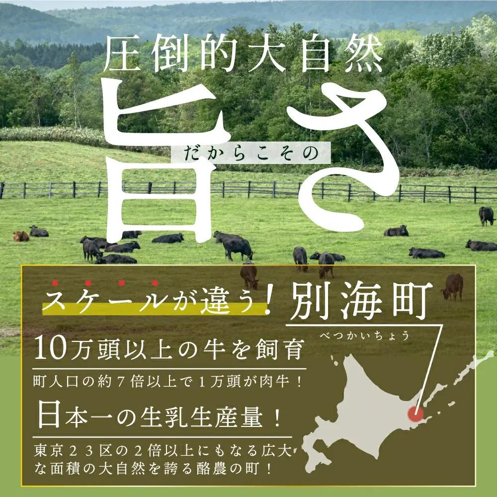 黒毛和牛 サイコロ ステーキ 500g 小分け 北海道 別海町 ステーキ