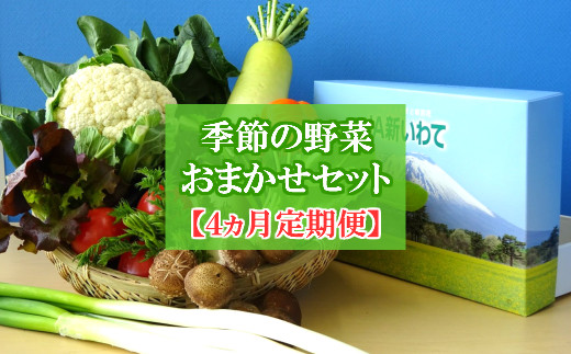 
【安全・安心・産直直送！】季節の野菜詰め合わせ（おまかせセット）【４ヵ月定期便】
