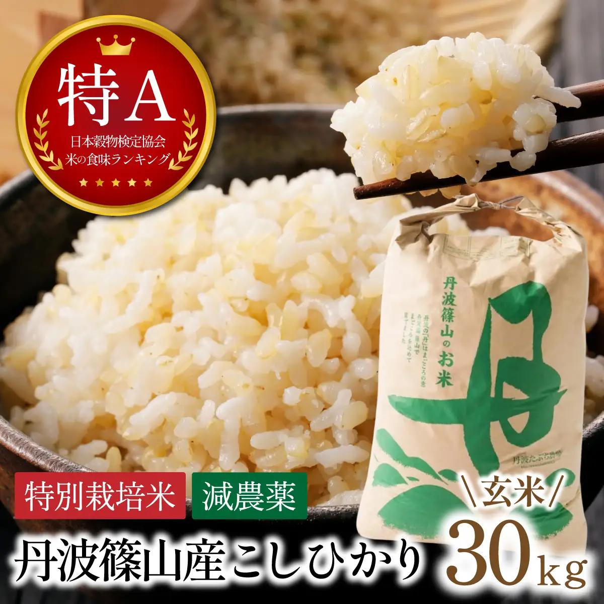 〈スピード出荷〉減農薬 特A 玄米 30kg 丹波篠山産 特別栽培米 こしひかり
