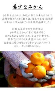 ゆら早生みかん 小玉2S・3S 秀 5kg ｜和歌山県産 甘みと酸味が美味しい人気の旬果物を産地直送｜ ゆら早生みかん 温州 ２S 3S［Mg23］