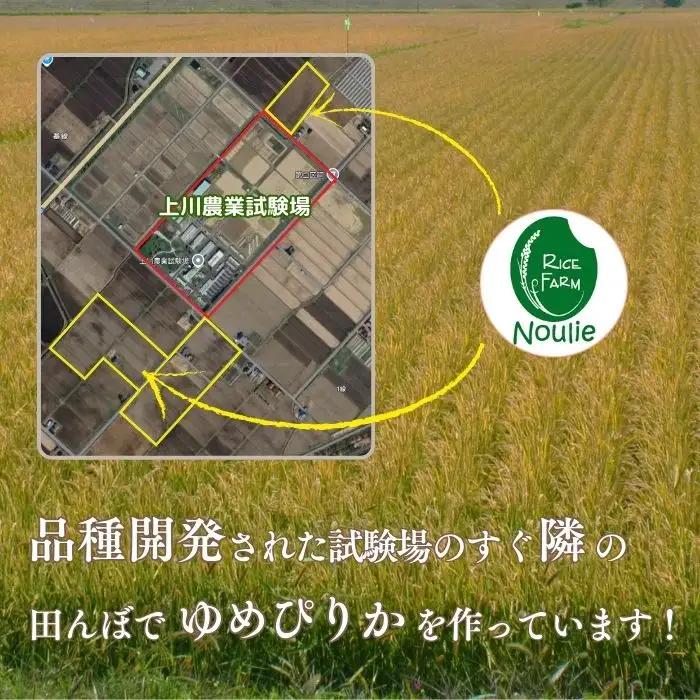 【令和8年産 新米受付】 ゆめぴりか 精米 5kg【農業生産法人ノウリエ】米 お米 北海道産 北海道米 特Aランク 国産 白米 コメ 北海道 比布町 ぴっぷ 1017-020