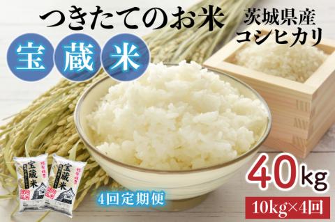 CZ-111　【4ヶ月定期便】【令和5年産】茨城県産コシヒカリ 宝蔵米 10kg×4回