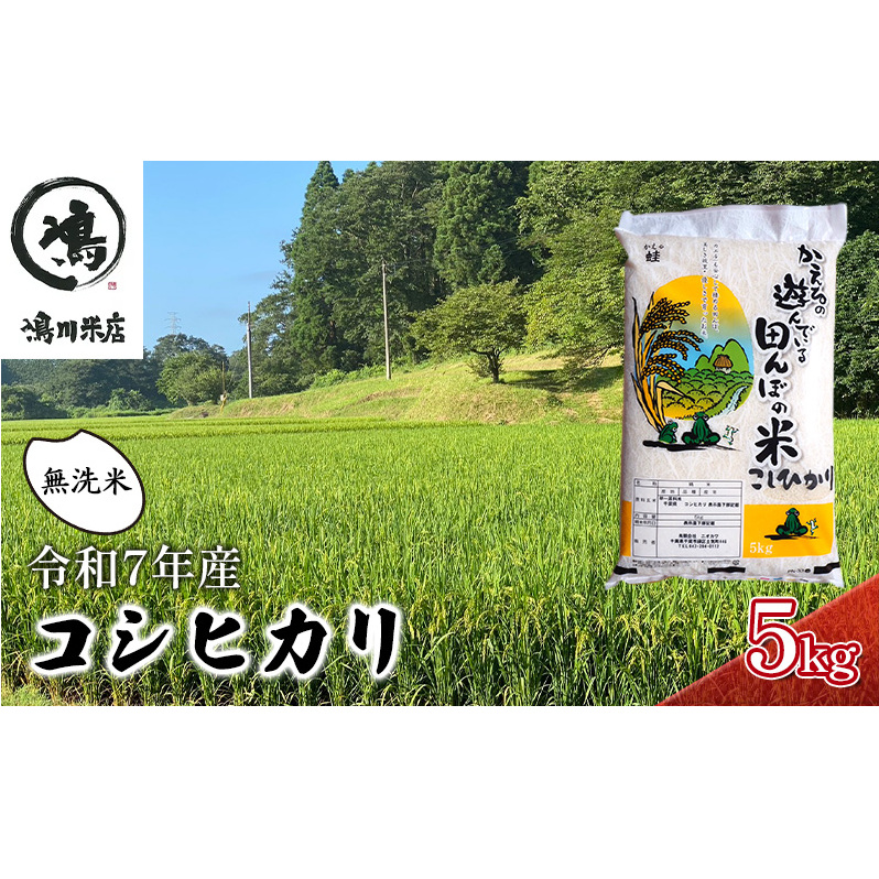 令和7年  コシヒカリ　無洗米　5kg お米 精米 粘りつやつや 甘み 美味しい 新鮮 