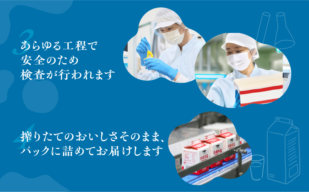 中央製乳 中央牛乳 1L 6本 計6L