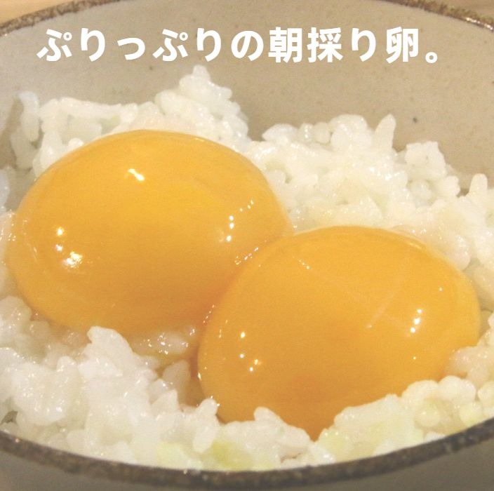 【ふるさと納税】【北海道・十勝 美しい村】新鮮なたまごを皆様の食卓へ！ピータンたまご （白玉L・30個+割れ保証品10個） [T1-2]