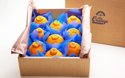 環境マイスターの不知火 良品2.5kg （栽培期間中は無肥料・低農薬） 果物 くだもの フルーツ 不知火 しらぬい 柑橘 みかん 【2026年1月上旬〜4月下旬迄順次発送予定】