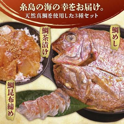 ふるさと納税 糸島市 いとしま 天然真鯛 プレミアムセット ワイエスフード [AFO001] |  | 01