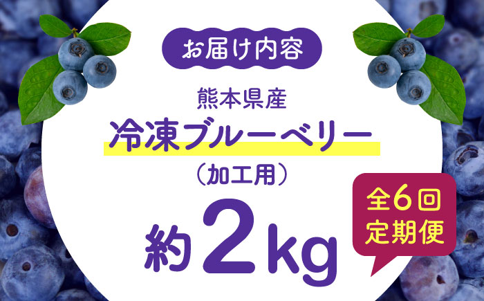 【先行予約】【8月より順次発送】【全6回定期便】【加工用】冷凍ブルーベリー 2kg【「のん気・元気」百姓家】 [YAL030]