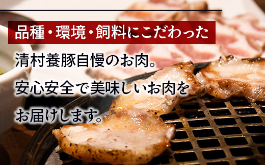 ワイルド塊BBQセット 計1450g 豚肉 カタ モモ バラ　AI07